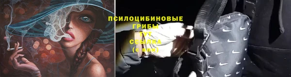 шишки Алексин