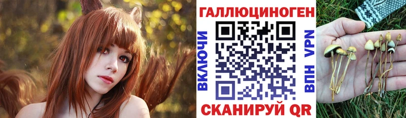 Галлюциногенные грибы MAGIC MUSHROOMS  Боготол 